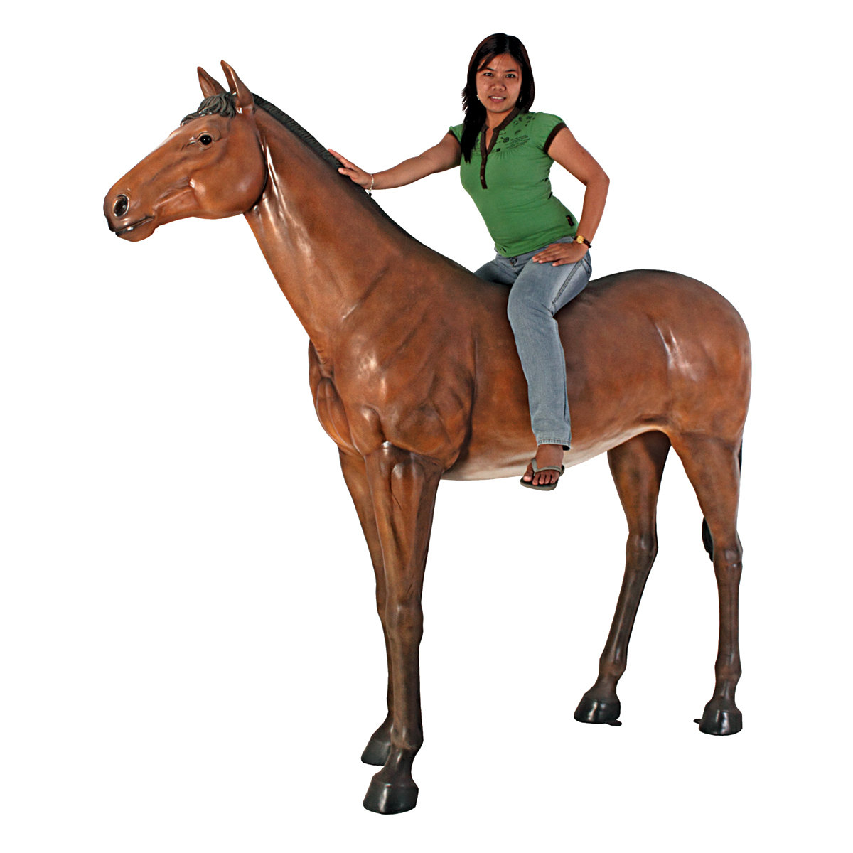 How to Get Your Horse to Pay More Attention to You How to Get Your Horse to Pay More Attention to You