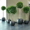 Serralunga Round Pot Planter & Reviews | AllModern