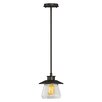 Trent Austin Design Oliver 1 Light Mini Pendant & Reviews ...