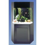 Altra Laguna Tide 37 Gallon Aquarium Stand & Reviews - AquaCustom+50+Gallon+ShaDow+Box+Aquarium