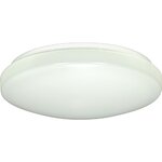 Philips 1 Light Flush Mount & Reviews | Wayfair