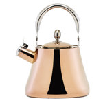Image Result For Tea Kettle For Induction Cooktopa Image Result For Tea Kettle For Induction Cooktopa