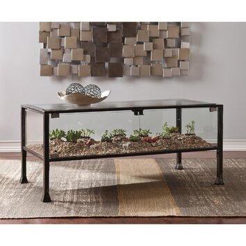 Wildon Home ® Terrarium Coffee Table & Reviews | Wayfair