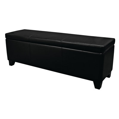 New Pacific Direct Luisa Storage Ottoman