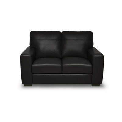 Luke Leather Timothy Leather Loveseat