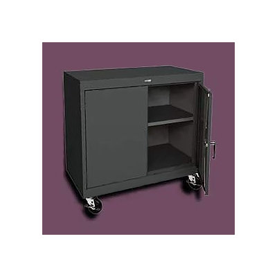 Sandusky Cabinets Transport 2 Door Sto..