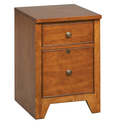 Alcott Hill Chester 2 Drawer Vertical ..
