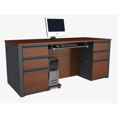 Red Barrel Studio Executive Desk