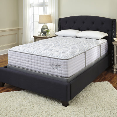 Sierra Sleep 13