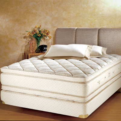 Royal Pedic Cloud 15.5