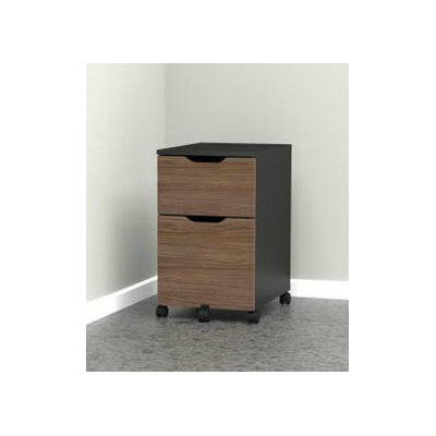 Latitude Run Darla 2-Drawer Mobile File Cabinet