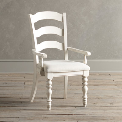Birch Lane Dalton Arm Chairs (Set of 2)