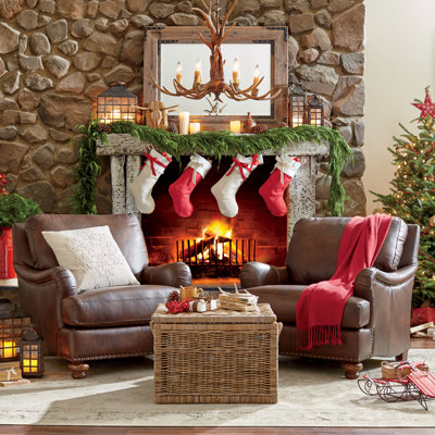 Birch Lane Montgomery Leather Chair