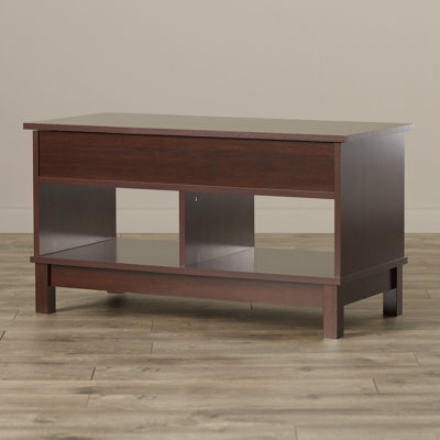 Andover Mills Aldreda Coffee Table with Lift Top
