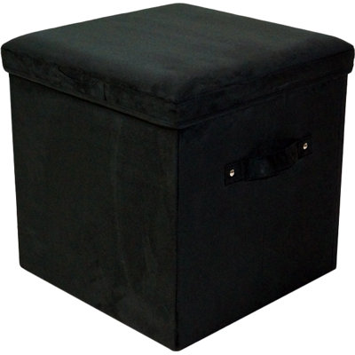 Andover Mills Reginald Storage Ottoman