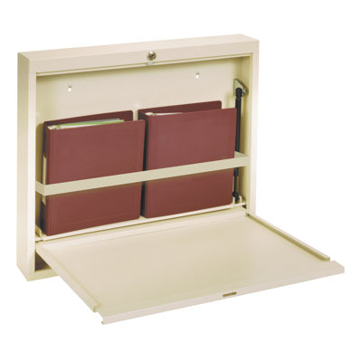 Omnimed Deluxe Wall Desk