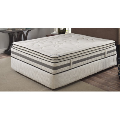 Spinal Solution Bentley 17