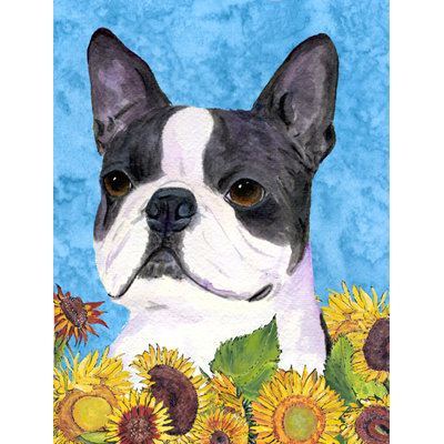 Caroline's Treasures Boston Terrier 2-Sided Garden Flag | Wayfair