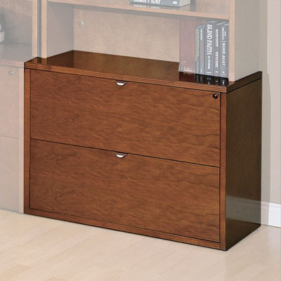 Darby Home Co Lemasters 2 Drawer File