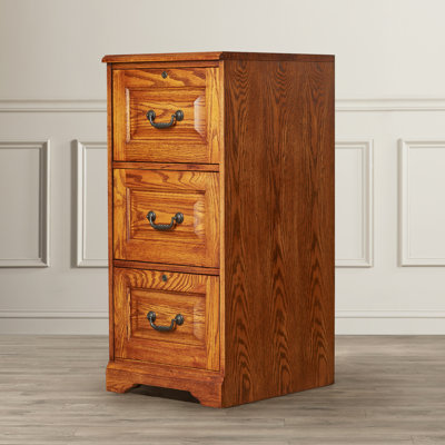 Darby Home Co Southview 3-Drawer Verti..