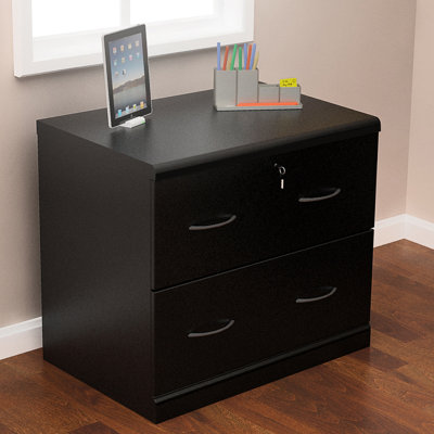 Charlton Home Bernewelt 2 Drawer File ..