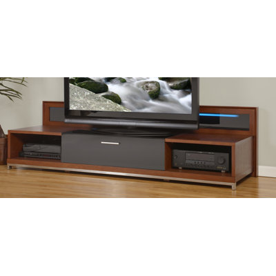 Brayden Studio Ijaki TV Stand