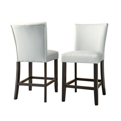 Brayden Studio Mcneel Parsons Chair (Set of 2)
