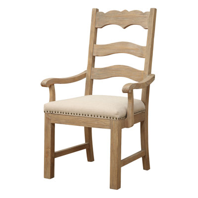 One Allium Way Willacoochee Arm Chair (Set of 2)