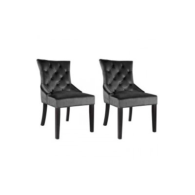 House of Hampton Leibowitz Side Chair (Set of 2)