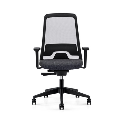 Interstuhl Every Task Chair with Arms