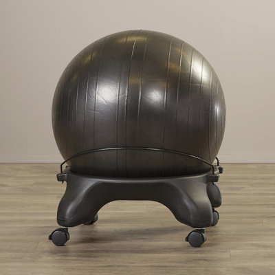 Symple Stuff Exercise Ball Chair