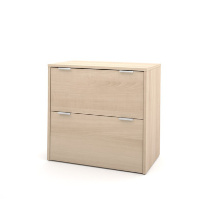 Latitude Run Luther 2 Drawer Lateral F..