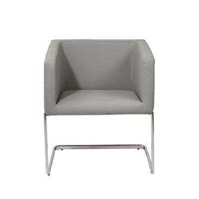 Eurostyle Ari Lounge Chair