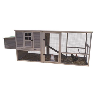 Precision Pet Extreme Chicken Coop &amp; Reviews Wayfair