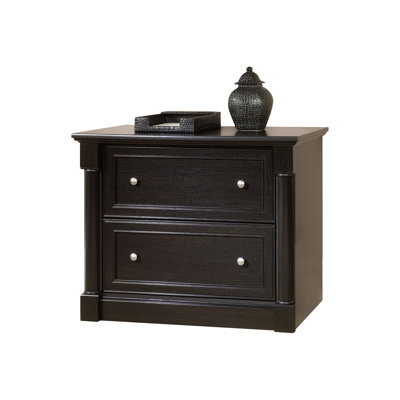 Darby Home Co Hennepin 2 Drawer Latera..