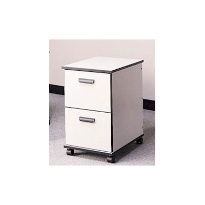 Fleetwood Solutions 2-Drawer Mobile Fi..