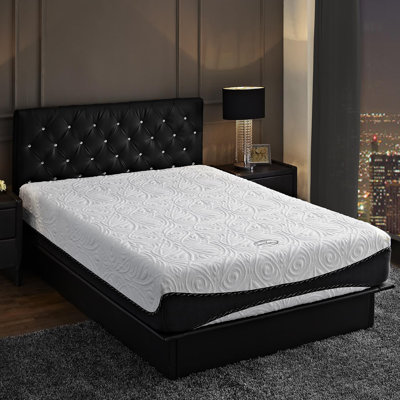 DHP Signature Sleep 12