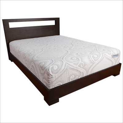 Sealy Hybrid 11'' Memory Foam Mattress