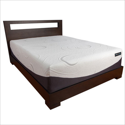 Sealy Hybrid 14'' Memory Foam Mattress