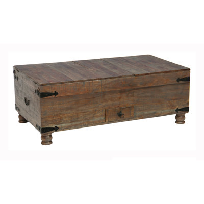 Aishni Home Furnishings Dakota Trunk