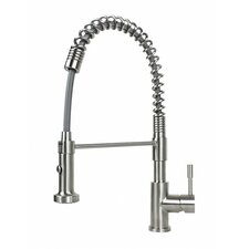 Ariel Single Handle Kitchen Faucet With Pull Out Sprayer 