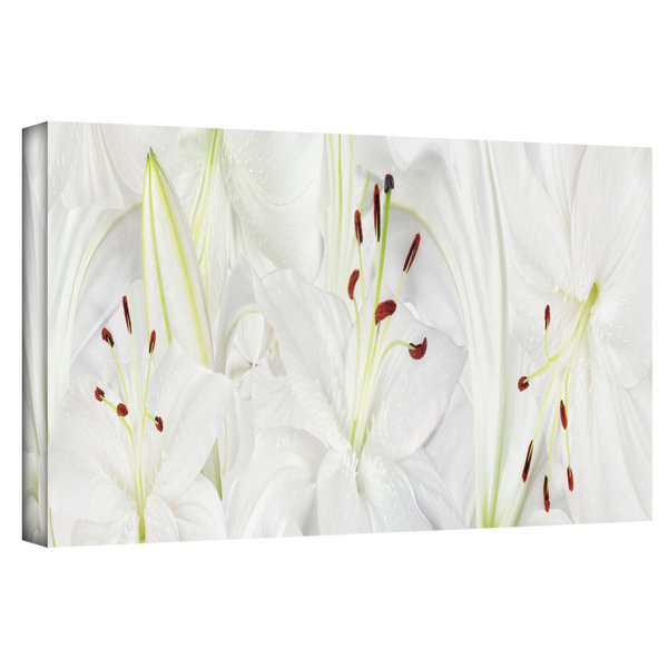 Lily Landscape Canvas Print & Reviews Joss & Main
