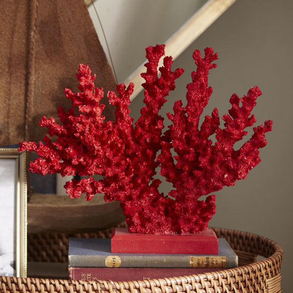Red Coral Decor Reviews Joss Main | red coral decor reviews joss main Red Coral Decor Reviews Joss Main | red coral decor reviews joss main