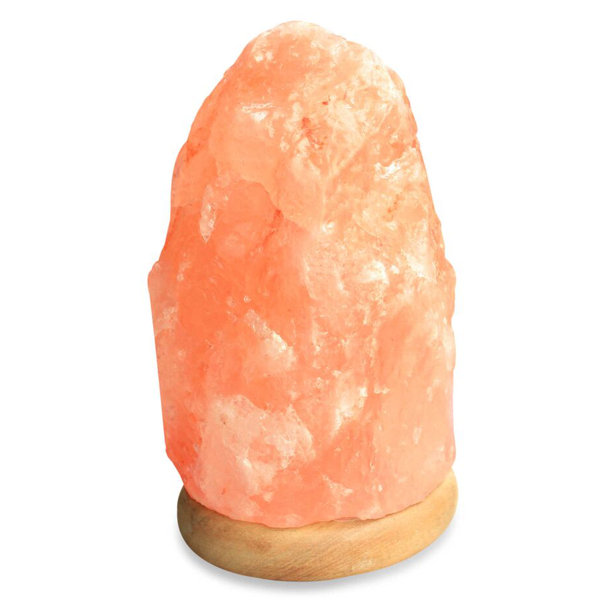 Himalayan Salt Lamp & Reviews Joss & Main