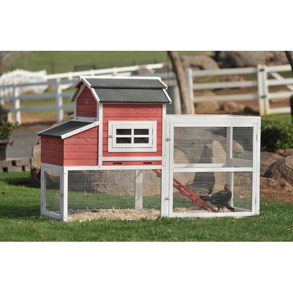 SummerHawk Ranch Vintage Barn Chicken Coop | Birch Lane