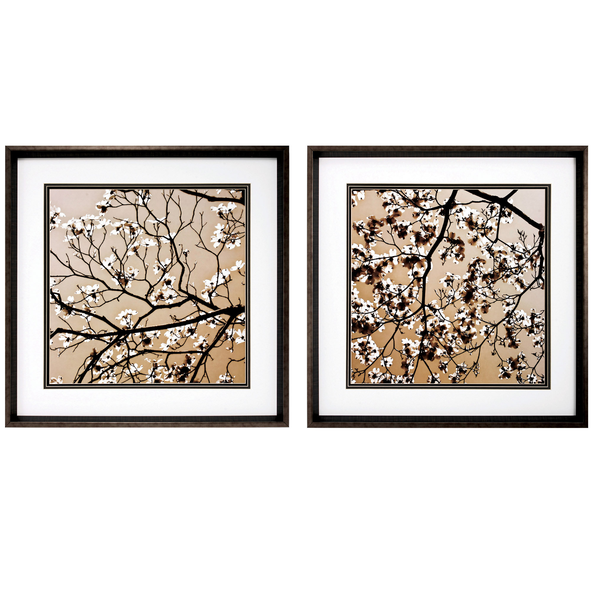 Propac Images Dogwood Square 2 Piece Framed Graphic Art Set & Reviews Wayfair