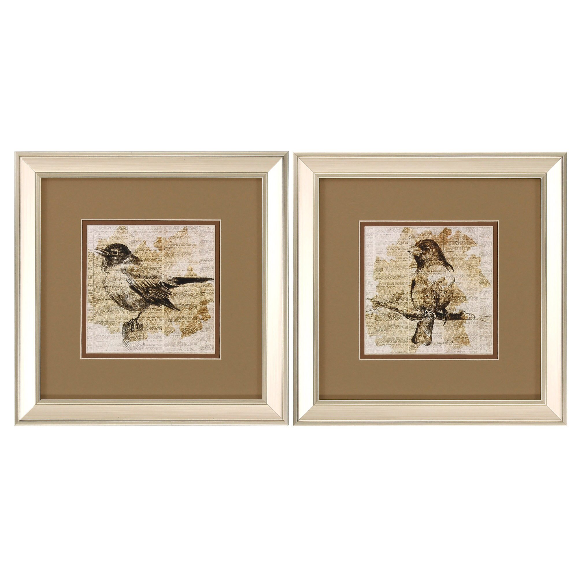 Propac Images Bird Sketch 2 Piece Framed Graphic Art Set & Reviews ...