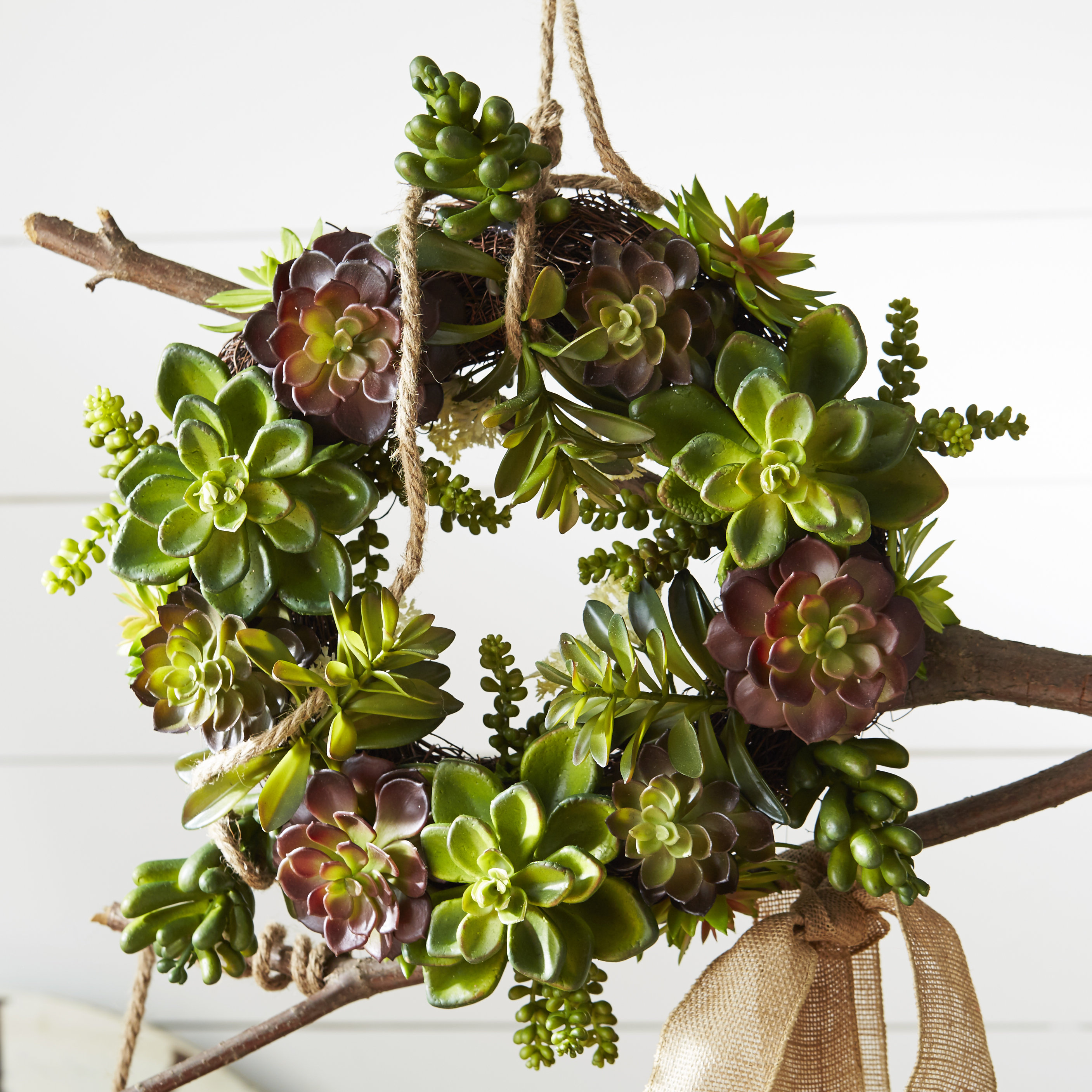 Nearly Natural 20" Succulent Wreath & Reviews Wayfair