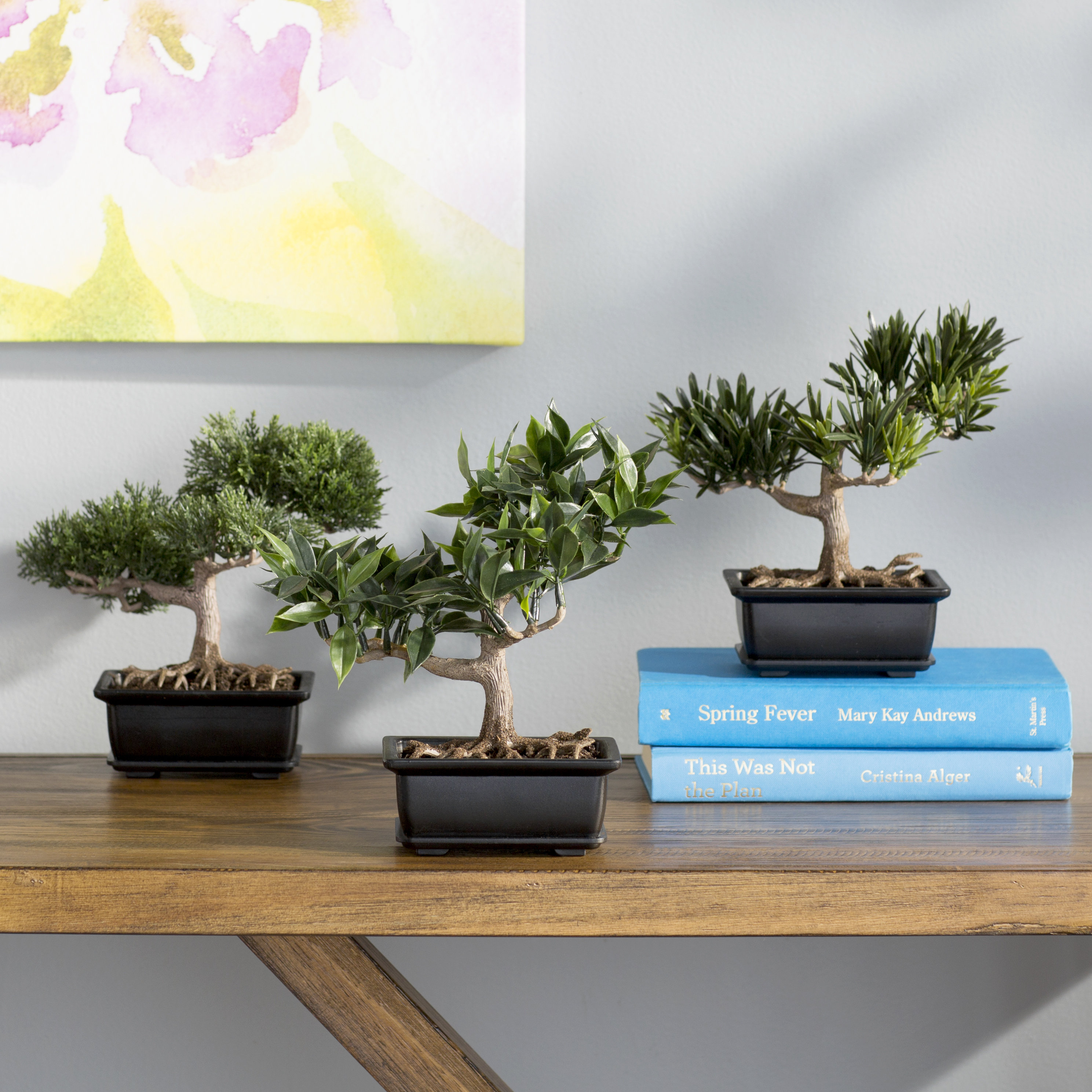 Nearly Natural Silk Bonsai Desk Top Plant in Planter & Reviews Wayfair