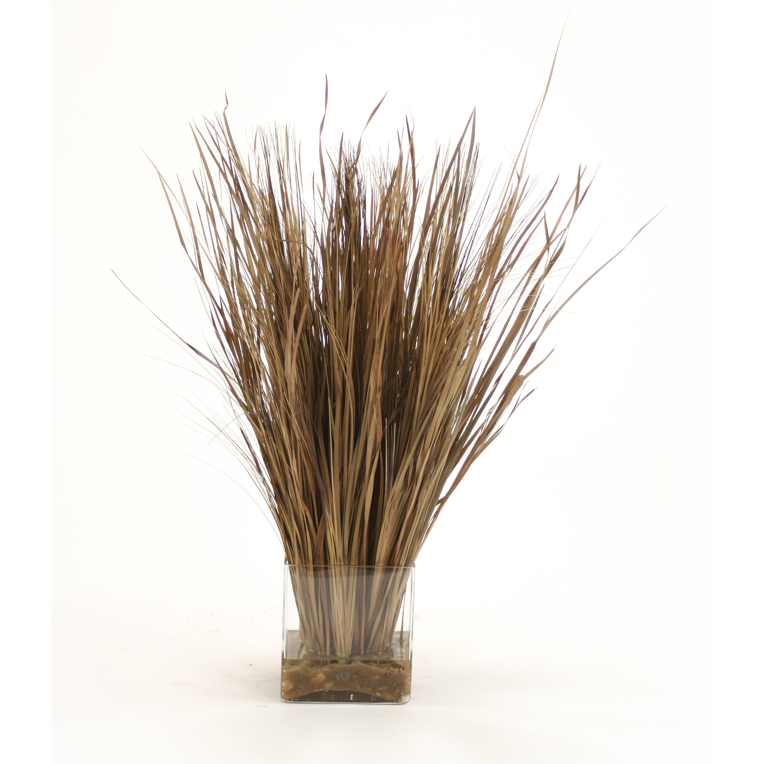 Distinctive Designs Waterlook Dried Tan/Brown Wild Grass in Rectangle